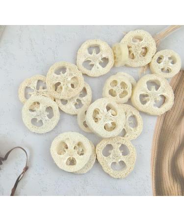 25Pcs Natural Loofah Slices - Reusable Scrubber and Soap Holder for Skin Care and Exfoliation (2In, Pack of 25) - Buy Online on GoSupps.com