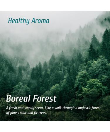 oNature Fabric Refresher Spray Water Mist for Linen Made with Natural Ingredients (Boreal Forest Aroma 250 ml) Boreal Forest 250 ml (Pack of 1) - Buy Online on GoSupps.com