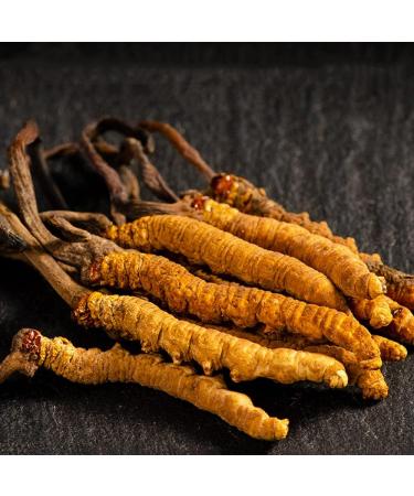 Wild Organic Cordyceps Sinensis Boost Energy Reduce Stress for Men and Women (9 Grams) - Buy Online on GoSupps.com