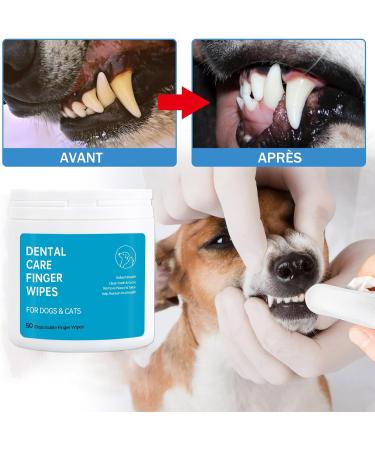 Lingettes Pour le nettoyage des dents de Chien - 50 lingettes de soins dentaires Pour chiens Chats - Nettoyage des dents rafra chit l'haleine r duit la Plaque et le tartre - Buy Online on GoSupps.com