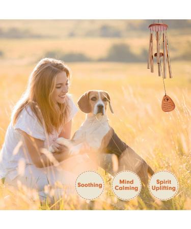 AMBOBE Pet Memorial Wind Chime - Thoughtful Gift for Grieving Pet Owners - Buy Online on GoSupps.com