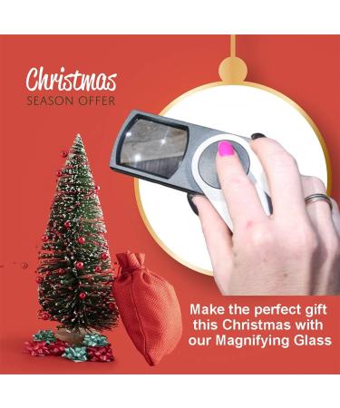 EasY Magnifier Small Reading Magnifying Glasses 3x with LED Light - Square Loupe Glass for Seniors - Ideal Elderly Aid Gift - Silver - Buy Online on GoSupps.com