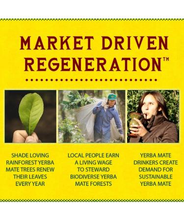 Guayaki Yerba Mate Organic Drink Bluephoria 15.5 Ounce Cans (Pack of 12) 150mg Caffeine Alternative to Coffee Tea and Energy Drinks - Buy Online on GoSupps.com