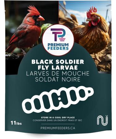 11lb - Dried Black Soldier Fly Larvae by Premium Feeders Dried mealworms Alternative Treats for Chicken Hens Duck Bird Quail Tortoise Fish High Calcium & Protein All Natural BSF - Buy Online on GoSupps.com