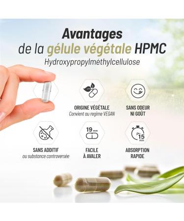 Organic Green Tea - 250 mg - 200 Vegetable Capsules - Buy Online on GoSupps.com