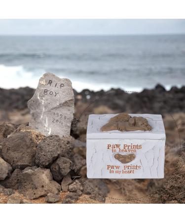 ACTLATI Engraved Resin Pet Urn for Dogs Ashes - Hand-Crafted Cremation Memorial Keepsake Box - Buy Online on GoSupps.com