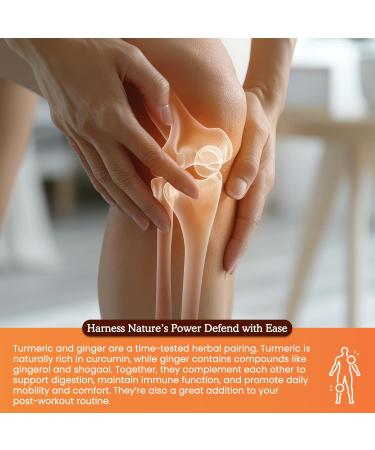 (2 Pack) Organic Turmeric Curcumin Supplement with Black Pepper and Ginger - Liquid Turmeric Extract Drops (with Cinnamon Rosemary) - Mobility and Flexibility Support and Digestive Health - 1 Fl Oz 1 Fl Oz (Pack of 2) - Buy Online on GoSupps.com