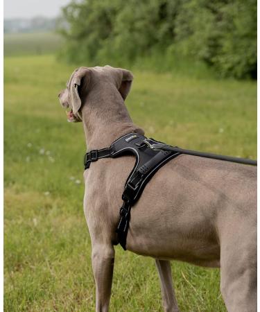 Lionto XL Black Dog Harness - Padded Anti-Pull Reflective Safety & Adjustable for Large Dogs - International Shipping Available - Buy Online on GoSupps.com