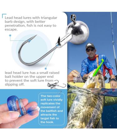 53-Piece Fishing Raids Set | Jig Heads Hooks & Rubber Bait for Saltwater & Freshwater Fishing - Buy Online on GoSupps.com