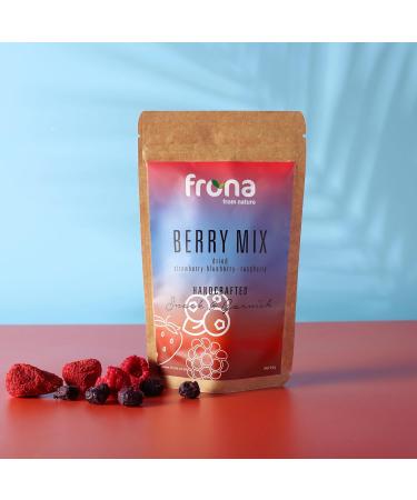 Frona Mini Pack 10g - Dehydrated Fruit Dried Slices- Ideal for Cocktails and Soft Drinks (Berry Mix) - Buy Online on GoSupps.com