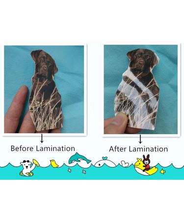 20-Pack Clear Self-Adhesive Laminating Plastic Paper 4x6 Inches 4x6 inch 20 Pack - Buy Online on GoSupps.com