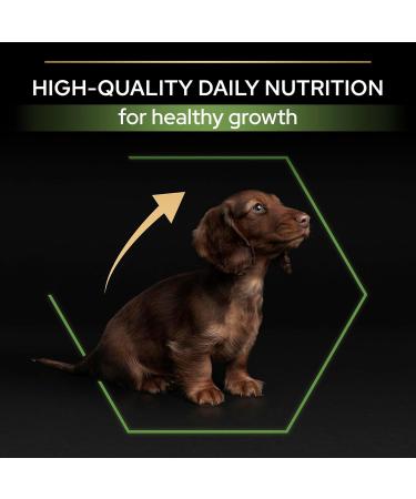 PRO PLAN Small & Mini Puppy with OPTISTART Rich in Chicken - 7 KG - Dry food for small breed puppies - Buy Online on GoSupps.com