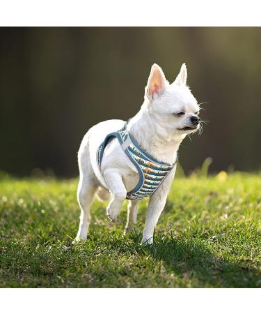 Buy Heele Small Soft Dog Dishes - Adjustable Air Mesh Tableware Vest for Walking & Training | Reflective Dark Green XS - Buy Online on GoSupps.com