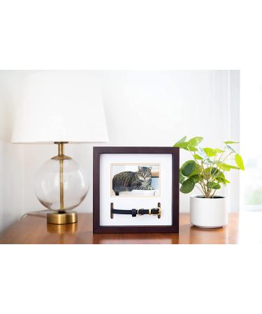 Pearhead Pet Collar Keepsake Picture Frame - Espresso Collar Frame - Buy Online on GoSupps.com