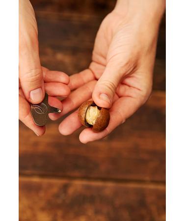 Premium Australian Macadamia Nuts in Shell - Dry Roasted - 8 Oz with Key Device - Buy Online on GoSupps.com