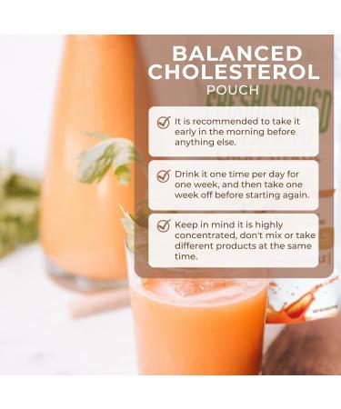 FreshlyDried Balanced Cholesterol Powder - Supports Healthy Cholesterol Levels - w/Tumeric Ceylon True Cinnamon Spinach Parsley Pineapple - Vegan-Friendly 17 Servings 6 Ounces - Buy Online on GoSupps.com