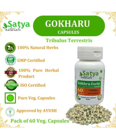 Gokhru Forte Capsules 500 mg. 60 Veg. Capsule | Gokharu (Tribulus Terrestris) Extract Capsules for Men and women | Ayurvedic Herbal Supplement/Remedies | 10:1 Forte (2 Bottles of 60 Capsules) - Buy Online on GoSupps.com