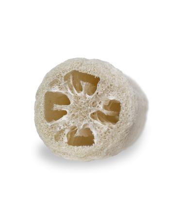 Loofah Moments loofah sponge | Natural loofah sponge | Vegan & plastic-free | Shower sponge & scrub (approx. 22 cm) - Buy Online on GoSupps.com