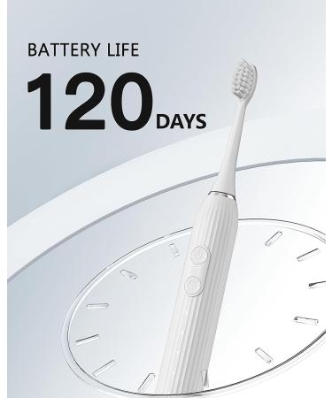 Electric Toothbrush for Adults - USB Rechargeable Sonic with 5 Modes 120 Days Fast Charge 3 Brush Heads for Gum Care & Deep Clean - T14 White - Buy Online on GoSupps.com