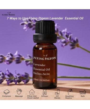 Flying Pigeon Lavender Essential Oil 10ml - Pure Steam Distilled French Lavender from Provence forDiffuser, Skin, Hair, Bath & DlY- Includes Home Test Card & User Guide - Buy Online on GoSupps.com