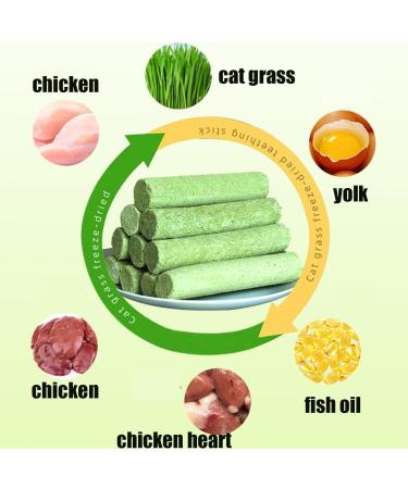 Cat Grass Teething Sticks Cat Grass Sticks Cat Teeth Cleaning Cat Grass Stick Natural Dried Cat Grass Treats Dental Snacks for Cats Cat Teeth Cleaning Treats (1Pack/6Pcs) - Buy Online on GoSupps.com