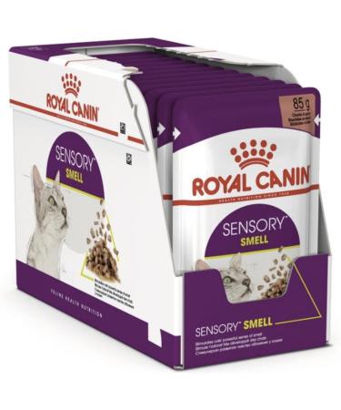 Royal Canin Sensory Smell in Gravy Wet Cat Food (12 x 85g) - Buy Online on GoSupps.com