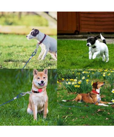 GOTOTOP Heavy Duty Chew Proof Dog Tie Out Cable - 16.4ft Double Heads Chew Resistant Leash for Outdoor Safety - Blue - Buy Online on GoSupps.com