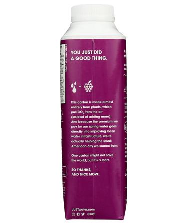 JUST WATER Blackberry Water - Hydrating Natural Drink, 16.9 fl oz - Buy Online on GoSupps.com