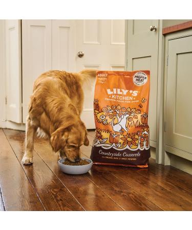 Lily's Kitchen Made with Natural Ingredients Dry Food for Adult Dogs Chicken & Duck Grain Free Recipe 12kg Bag - Buy Online on GoSupps.com