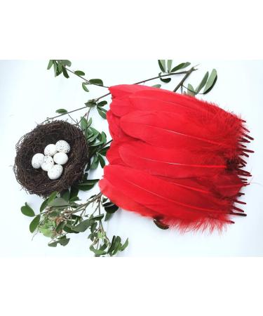 100pcs Red Goose Feathers 6-8 Inch - Ideal for Crafts, Wedding Decor, Clothing Accessories - Buy Online on GoSupps.com