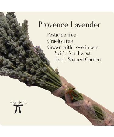 Lavender Botanical Lotion with Aloe Honey Coconut Milk Natural Plant Extracts Nourishing Body Moisturizer for Delicate Skin (2 oz Lavender Whisper) Lavender Whisper 2 Fl Oz (Pack of 1) - Buy Online on GoSupps.com