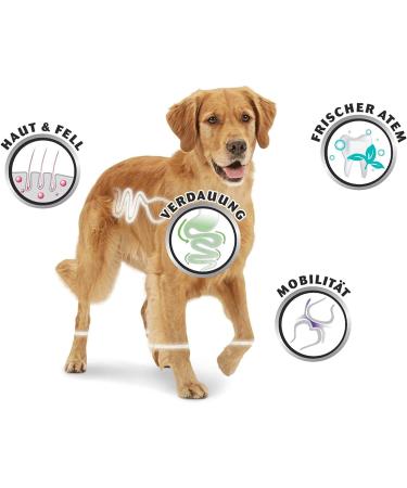 Buy 8in1 Fillets Pro Digest Dog Snacks - Chicken Treats for Digestion - 80g Pack - Functional Dog Treats - Buy Online on GoSupps.com