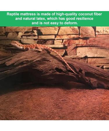 Midyrrg 2 Rolls Reptile Carpet Coconut Fiber Bearded Dragon Substrates Snake Tortoise Bedding Matting Tortoise Substrate Pet Terrarium Liner for Reptiles Lizards Anoles Turtles (50x30cm) - Buy Online on GoSupps.com