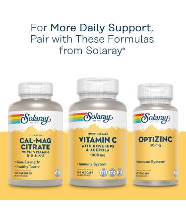 Solaray B-Complex 100 with Aloe Vera - 250 VegCaps for Energy & Wellness - Buy Online on GoSupps.com