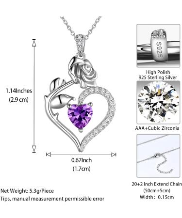 Cute Cat Necklace with Sparkling Zirconia Crystal Birthstone Pendant Necklace for Girls Womens White Gold Over 925 Sterling Silver Animal Necklace Birthstone Jewelry Sweet Present Girlfriend Sisters B February-Amethyst - Buy Online on GoSupps.com