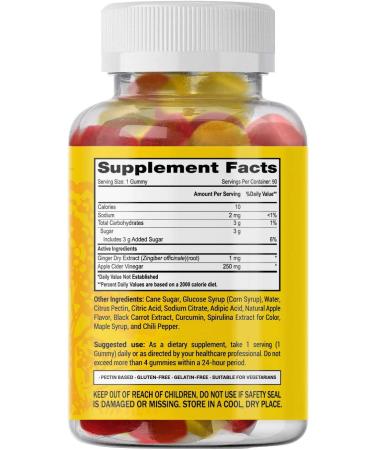 Raw Apple Cider Vinegar Gummies - Vegan & Non-GMO - 90ct - Buy Online on GoSupps.com