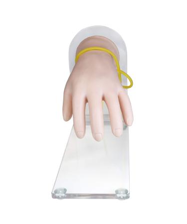 Science Resource E09630 Advance Opisthenar I.V. Injection Hand Model | Soft & Lifelike Material | Injectable Metacarpal | Digital & Thumb Veins on Dorsal Surface