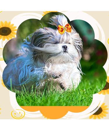 JpGdn 24Pcs/12Pairs Dog Hair Bows with Rubber Band Autumn Sunflower Pattern for Girls Female Cat Rabbit Puppy Poodle Top Knot Elastic Hair Bowknot Grooming Accessories Attachment Sunflower Autumn 24 - Buy Online on GoSupps.com