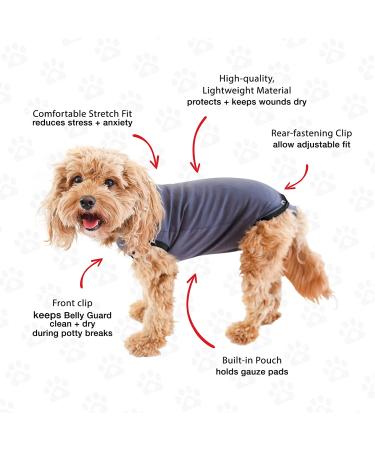 BellyGuard Dog Recovery Suit - Comfortable Cone Substitute for Dogs - Stretch-Fit Cotton Material - Adjustable Rear Flap - Medium Grey - Buy Online on GoSupps.com