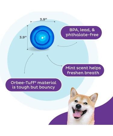 Buy Planet Dog Orbee-Tuff Lil Snoop Interactive Snack Ball Toy for Dogs - Small Royal Blue - International Shipping Available - Buy Online on GoSupps.com