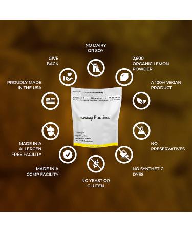 Daily Hydration Electrolyte Powder Packets with Apple Cider Vinegar, Lemon & Sea Salt - 30 ct | Hydrate Drink Mix for Keto & Paleo Diets - Buy Online on GoSupps.com