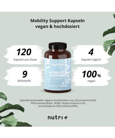 Glucosamine + Chondroitin High-Dose Vegan Mobility Support with MSM Hyaluronic Acid Zinc & Vitamin C - 120 Capsules | Raw Materials Glucosagreen & Phytroitin - Buy Online on GoSupps.com