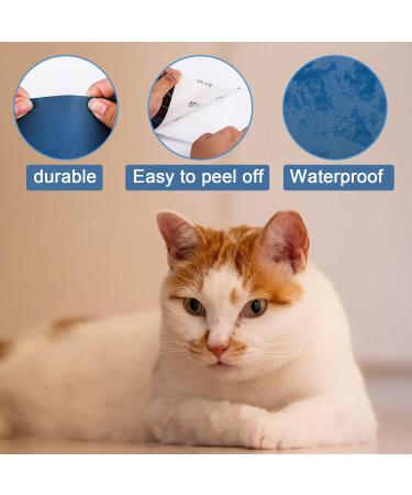 6pcs Cat Nail File Scratching Strips 3 Sizes Blue 120 Grit Claw Sandpaper Nail File for Cats Scratch Pad Reliable Rounded Corners Cat Scratcher for Furniture Flat Surface Cat Litter Box - Buy Online on GoSupps.com