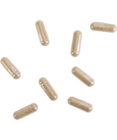 Kroeger Herb Products Candida Formula #2 Cleanse Support Supplement for Women & Men - Helps Maintain Yeast & Candida Levels - Intestinal Supplement Healthy Flora - Vegetarian Non-GMO Made is USA - Buy Online on GoSupps.com