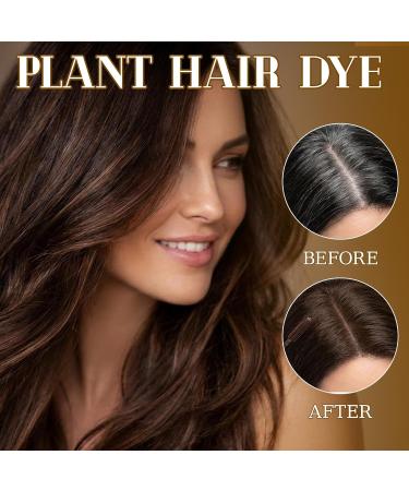 Lot de 2 B ton de Teinture de Cheveux Jetable Couverture des Cheveux Gris Dissimulateur de Cheveux Couvrant les Cheveux Blancs pour Usage Quotidien et D placements (Brun Fonc 15 ml) - Buy Online on GoSupps.com
