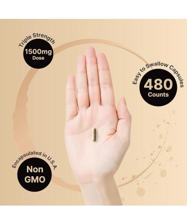 2 Pack NatureBell Mucuna Pruriens Capsules 1500mg Per Serving Made with Mucuna and Ashwagandha 480 Capsules 2 in 1 Formula Contains Mucuna Pruriens Seeds for Mood Mind and Brain Health 240 Count (Pack of 2) - Buy Online on GoSupps.com