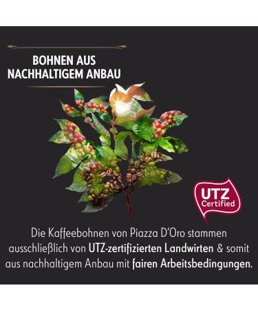 Piazza D'Oro Golden Square Go Bonen 1kg - Buy Online on GoSupps.com