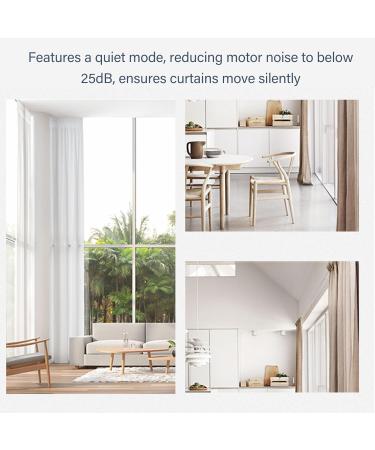 PureFit Whey Protein Powder 25 G High Quality Protein with BCAAs and EAAs Fast Absorption for Muscle Recovery Chocolate Flavor 5 Lbs - Buy Online on GoSupps.com