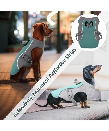 Kuoser Cool Vest for Dogs - Breathable Cooling Coat for Hot Summer Days | Reflective Safety Jacket for Small & Medium Dogs - Blue M - Buy Online on GoSupps.com