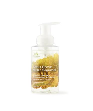 Green Cricket Natural Foaming Hand Wash Citrus